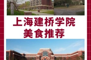 上海建桥学院的专业有哪些