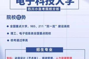 成都电子科大哪个专业好