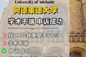 DX是哪个大学