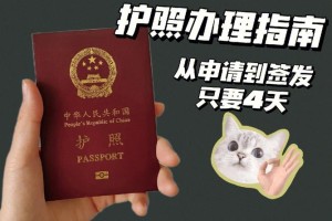 临时出国没护照怎么办理吗