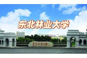 东北林业大学分哪些学院