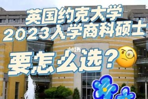 英国约克大学的商科怎么样