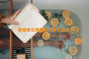 美国爱达荷州立大学怎么样