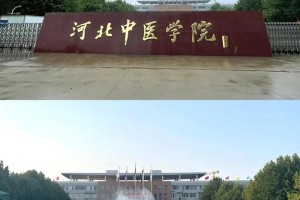 中医药大学是哪个区