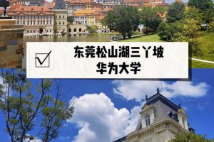 东莞哪个大学可以约