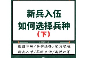 大学生兵是怎么分兵种