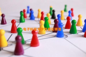 电子科技大学党委在哪里