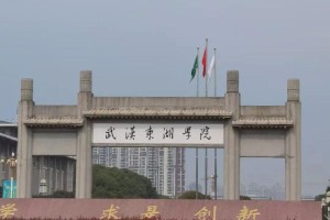 武汉东湖新新区有哪些大学