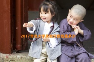 2017青岛大学录取分数线是多少