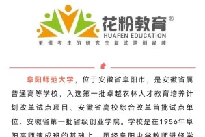 阜阳师范哪个省