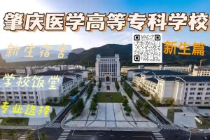 广东肇庆医科学校怎么样