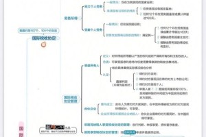 国际税法哪个大学好