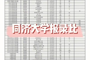 同济大学怎么查报考人数