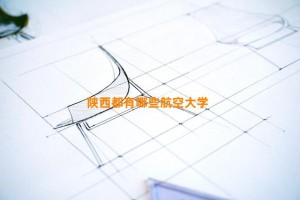 陕西都有哪些航空大学