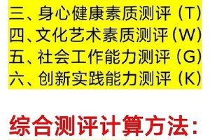 综测社会工作怎么填