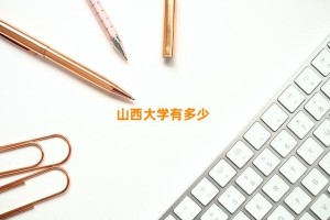 山西大学有多少