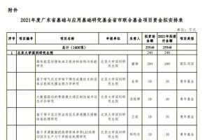 广东省联合重点基金怎么写