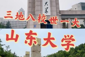 山东大学校本部在哪里