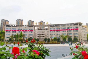 离广安近的有哪些大学