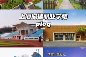 上海城建职业学院位于哪里