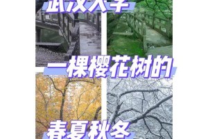 春夏是哪个大学的