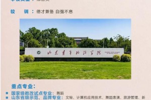 山东政治青年学院哪些专业