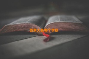 西南大是哪个学校