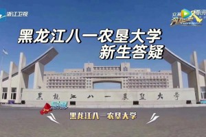 黑农经和八一农大哪个好