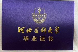 河北医科大学毕业都去哪里