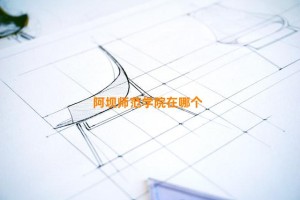 阿坝师范学院在哪个