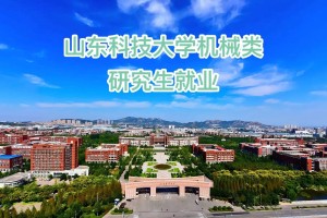 山东科技大学哪个专业