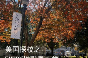 埃默里大学哪个学院好