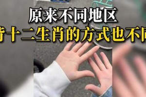 大学女生指哪个生肖