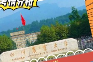 四川农业大学位于哪里呢