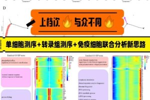 全转录组测序需要多久