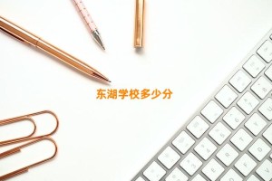 东湖学校多少分