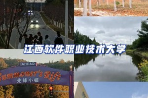 江西软件大学哪个好