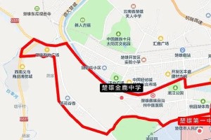 楚雄共有多少学校