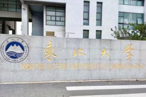 东北大学在哪里看师资