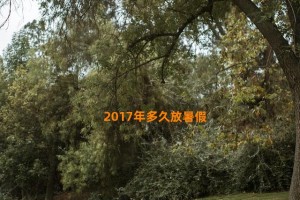 2017年多久放暑假