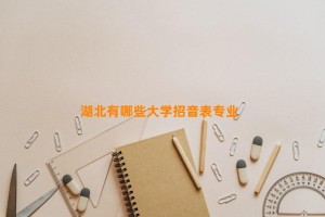 湖北有哪些大学招音表专业