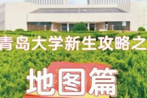 青岛大学在哪个省