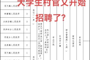 大学生村官工年怎么算