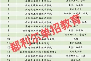 云南的公办专科有哪些学校