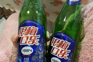 银梅可乐厂骑车怎么走