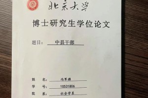 北京大学的论文哪里看