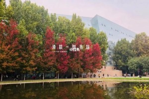 河北大学综合楼在哪里