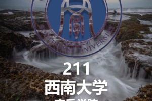 西南大学音乐系怎么样