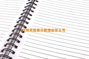 对期末复查分数理由怎么写