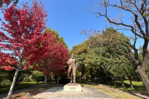 电大跟中央党校哪个好